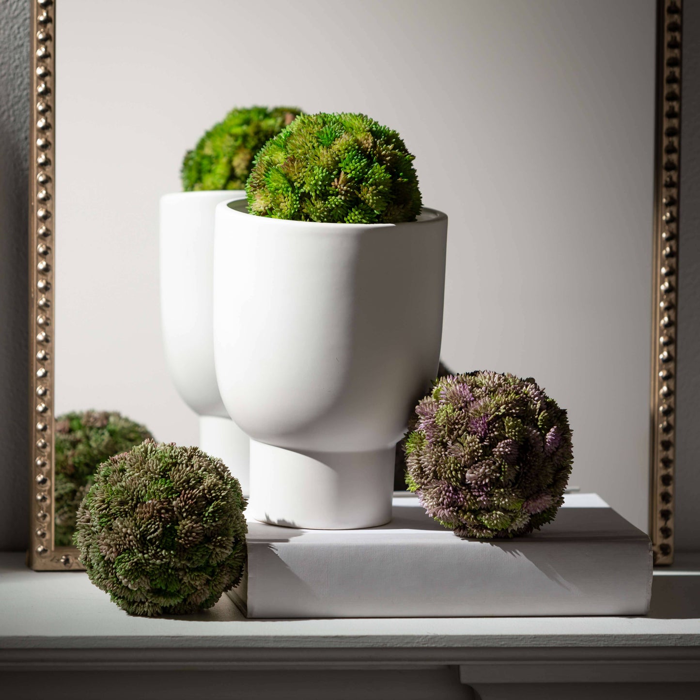 
                  
                    COLORFUL SEDUM ORB
                  
                