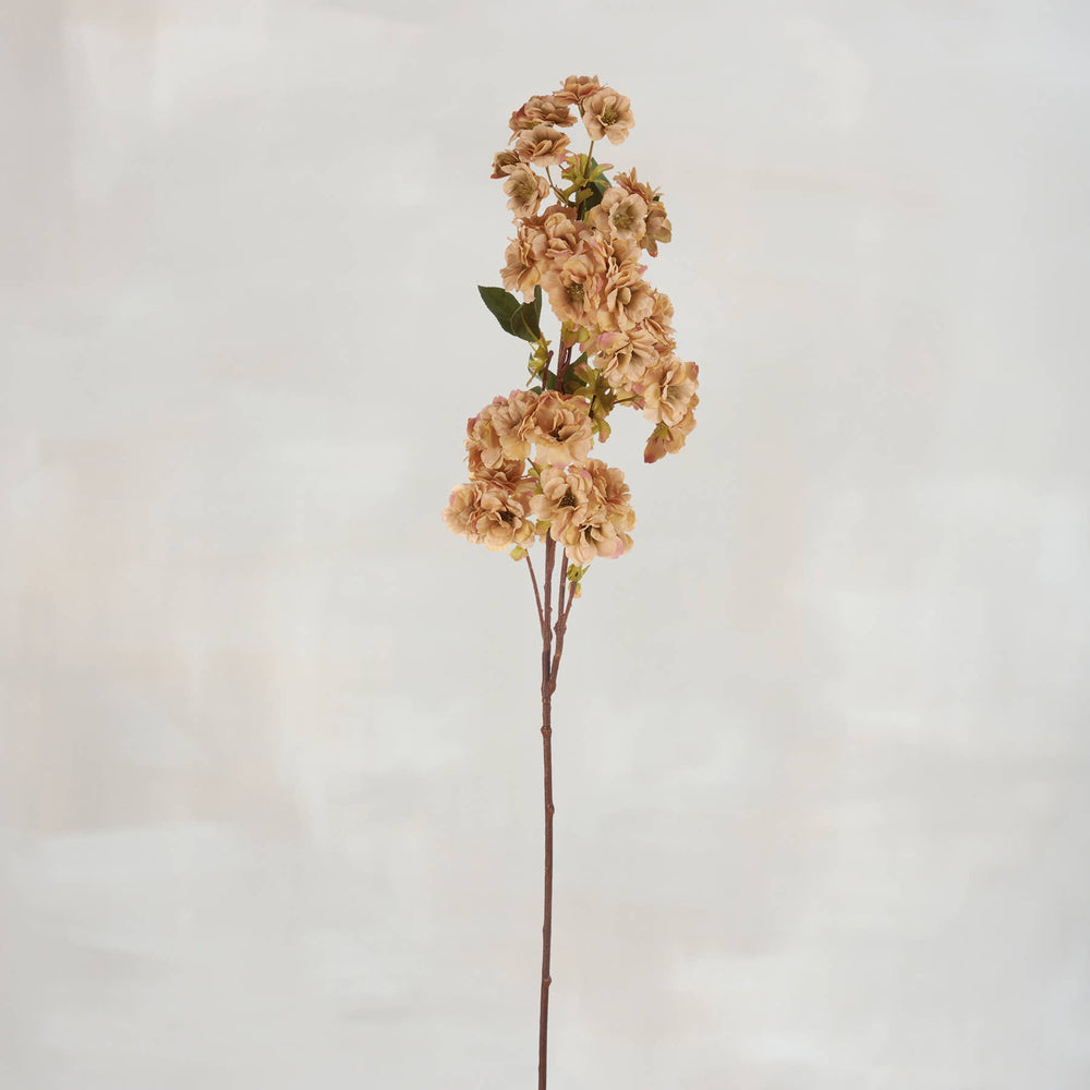 Cream Cherry Blossom Floral Pick