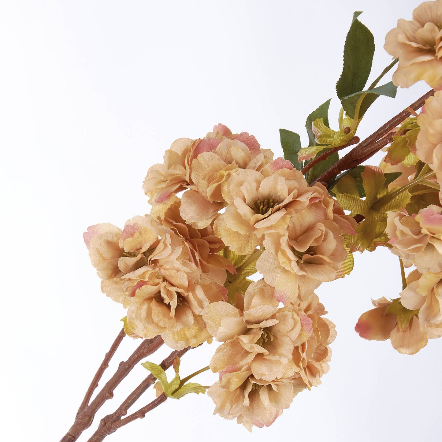
                  
                    Cream Cherry Blossom Floral Pick
                  
                