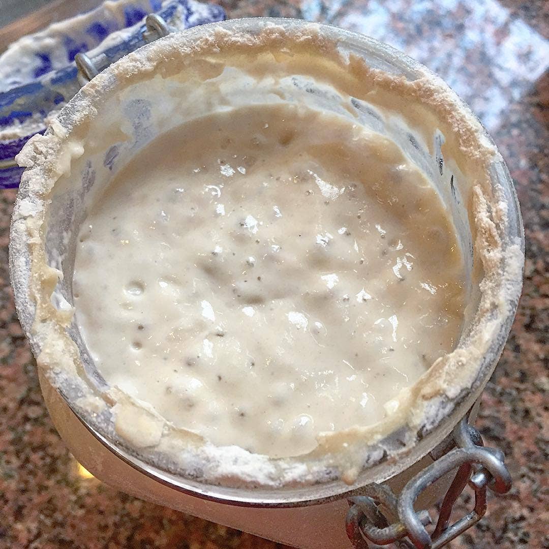 
                  
                    Sourdough Starter
                  
                