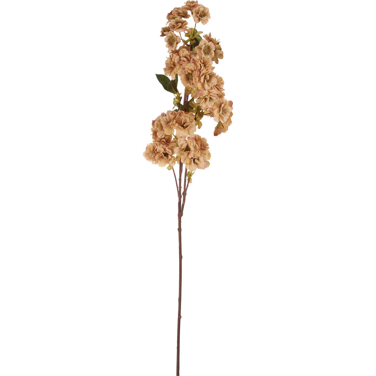
                  
                    Cream Cherry Blossom Floral Pick
                  
                