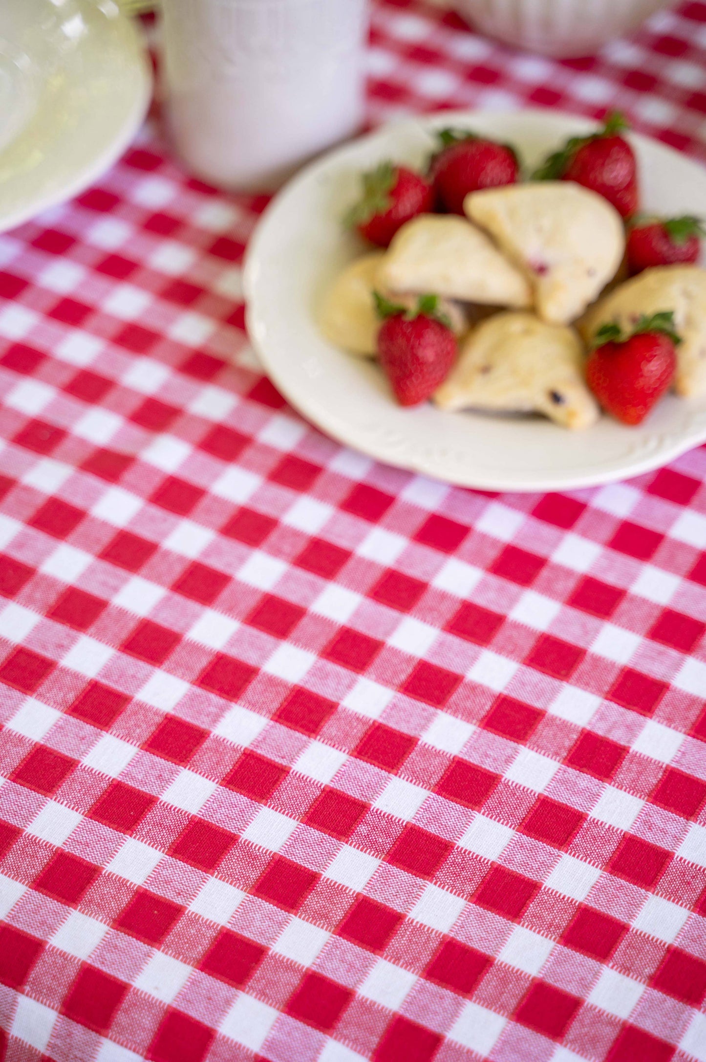 
                  
                    Picnic Check Tablecloth
                  
                