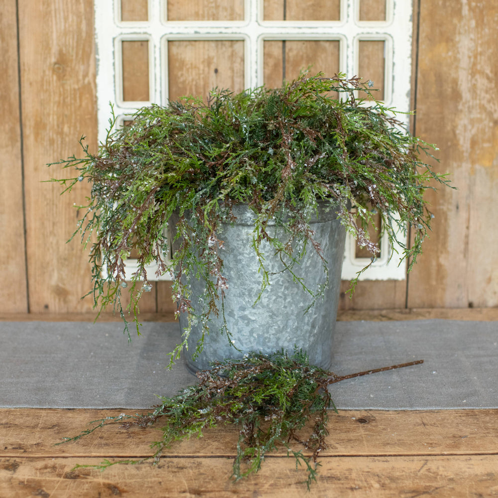 
                  
                    17"  WEEPING CEDAR PICK WITH SNOW
                  
                