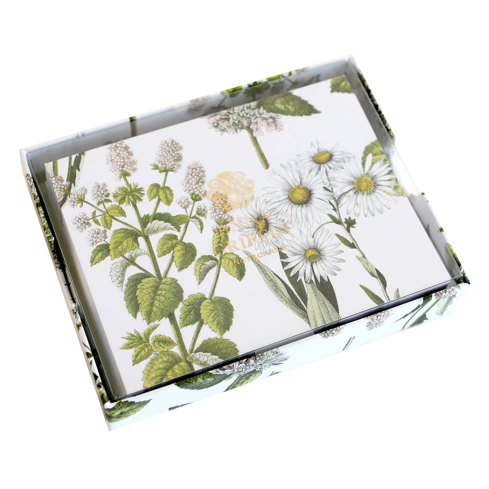 
                  
                    Botanical Daisy Folded Note Card
                  
                