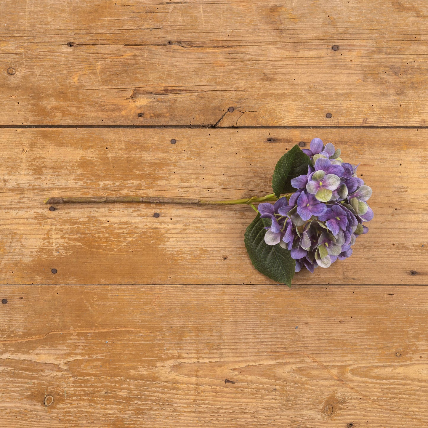 
                  
                    17" PURPLE HYDRANGEA PICK
                  
                